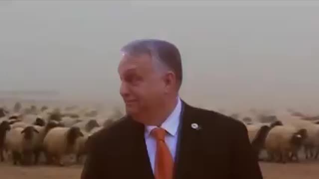 Csak Orban Miklós - ennyi :D