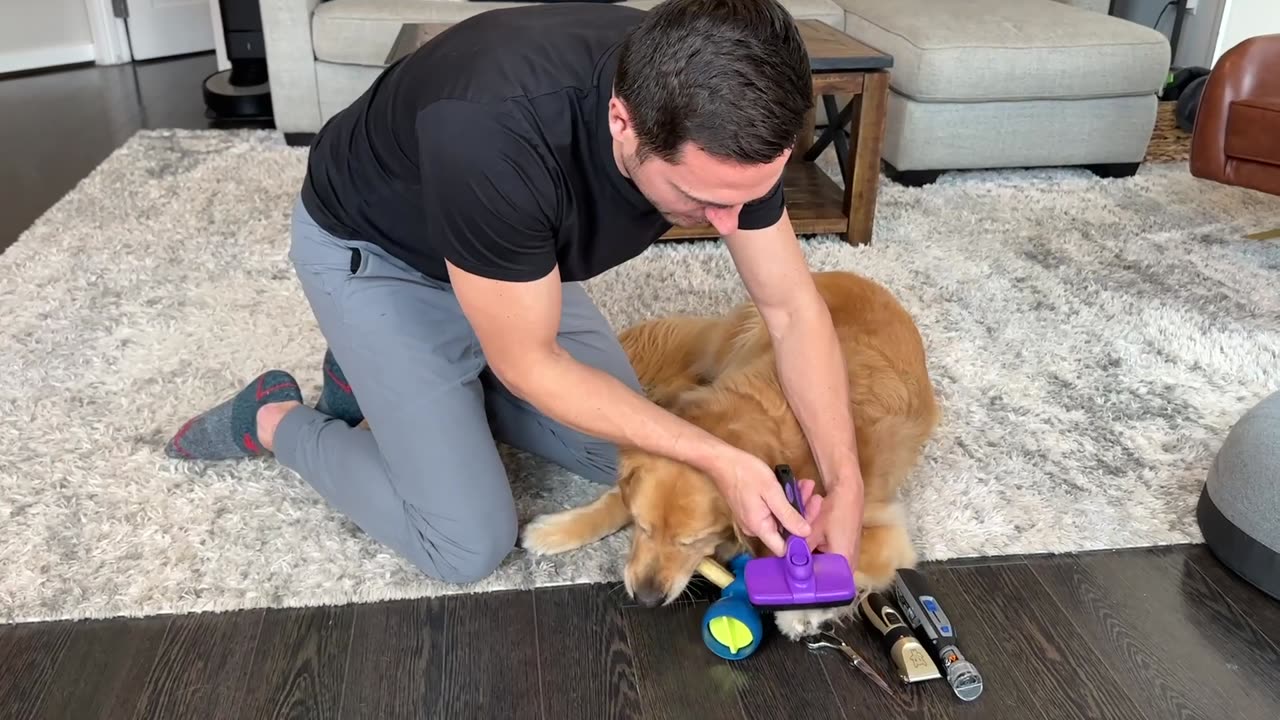 Do-It-Yourself Dog Paw Care