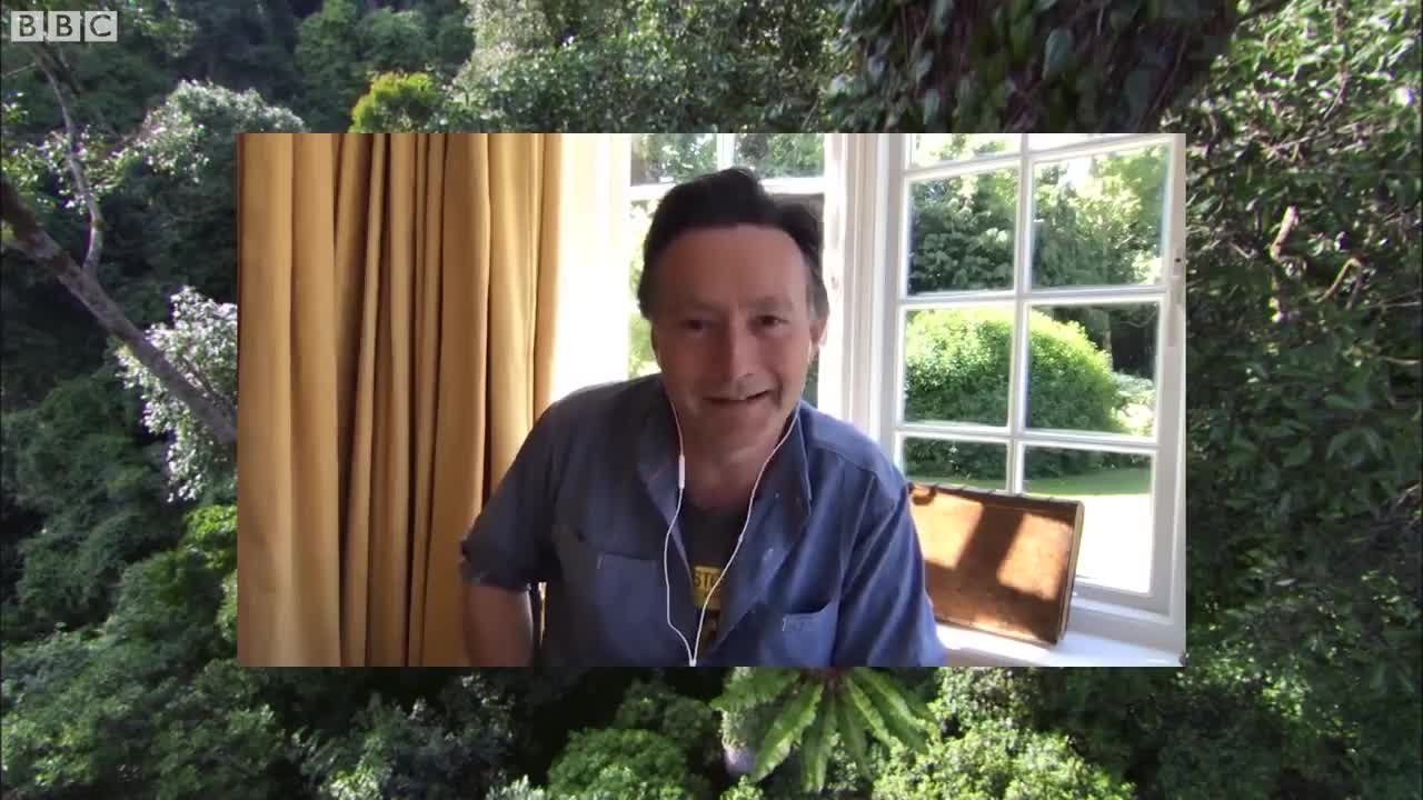 Filming Birds of Paradise | Wild Stories | BBC Earth