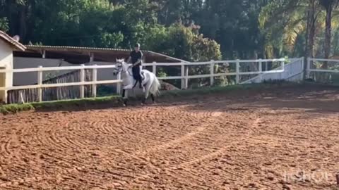 Learning to Ride a Horse