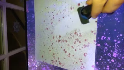 Tunze Nano Care Magnet review