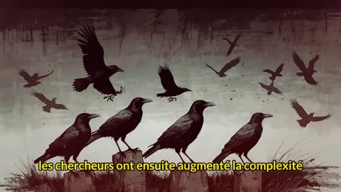 Insolite: L'intelligence surprenante des oiseaux