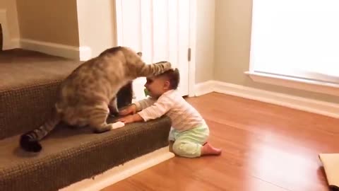 Best Videos Of Funniest Baby And Pets Compilation