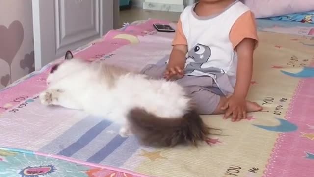 Kiity got NO Chill. Baby Playing with cat Funny Video