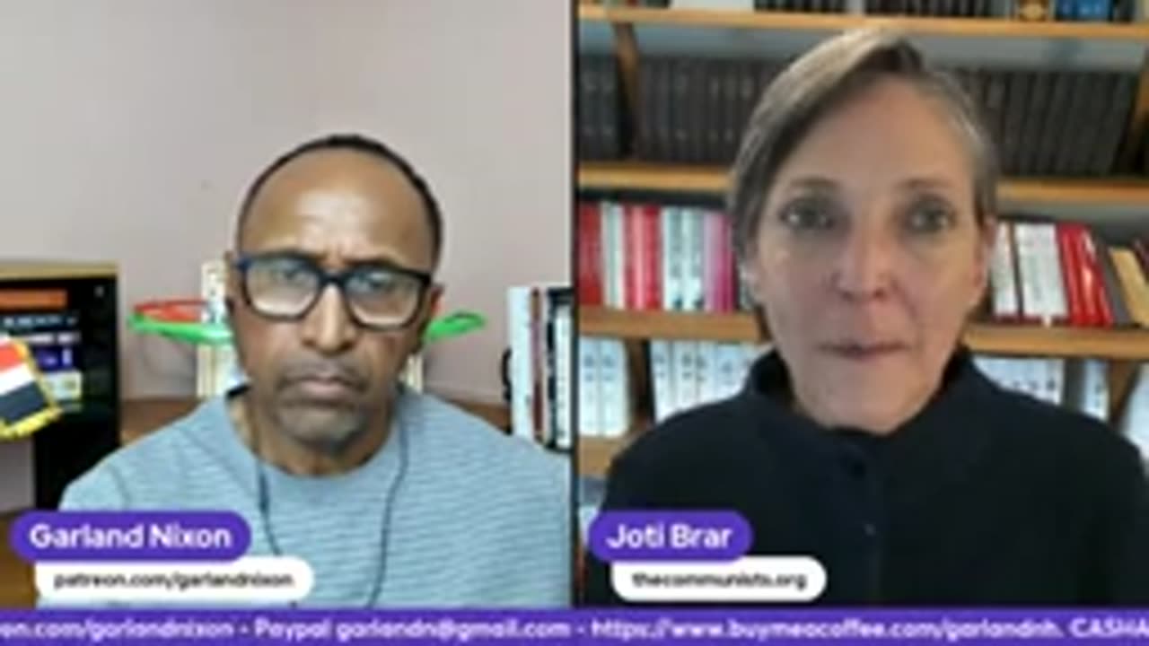 EU ELECTIONS AS ECONOMIES COLLAPSE - JOTI BRAR & GARLAND NIXON