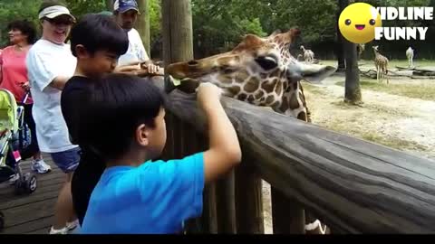 Funniest fails in the Zoo🤣