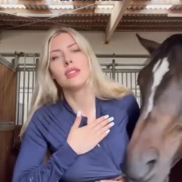 THE HORSE SHOWS THE WAY | Animal Insticts