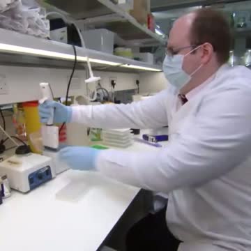 The jabs killing your immune system