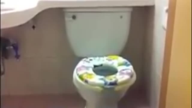 Dog going to toilet