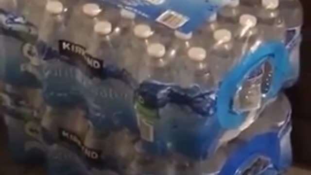 funny cat video coming out of water