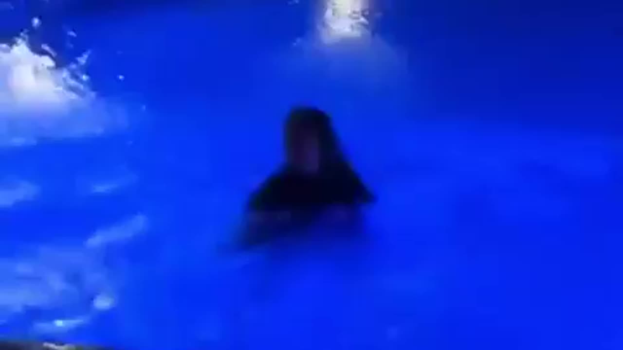 Funny video