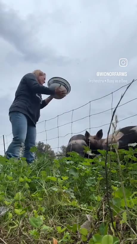 How to make non vegan bacon