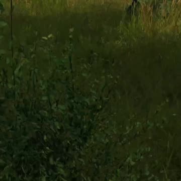 Always Trust Your Guts Feeling In DayZ