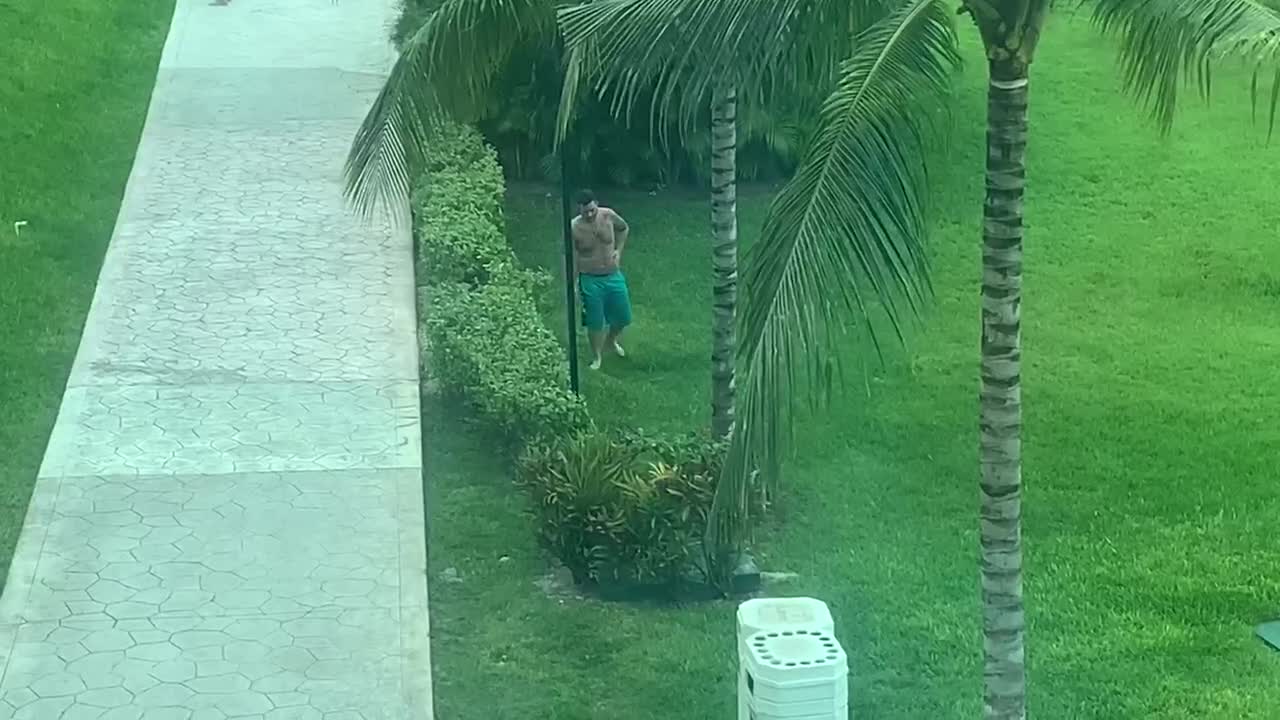 Stumbling Man Trips on Lawn