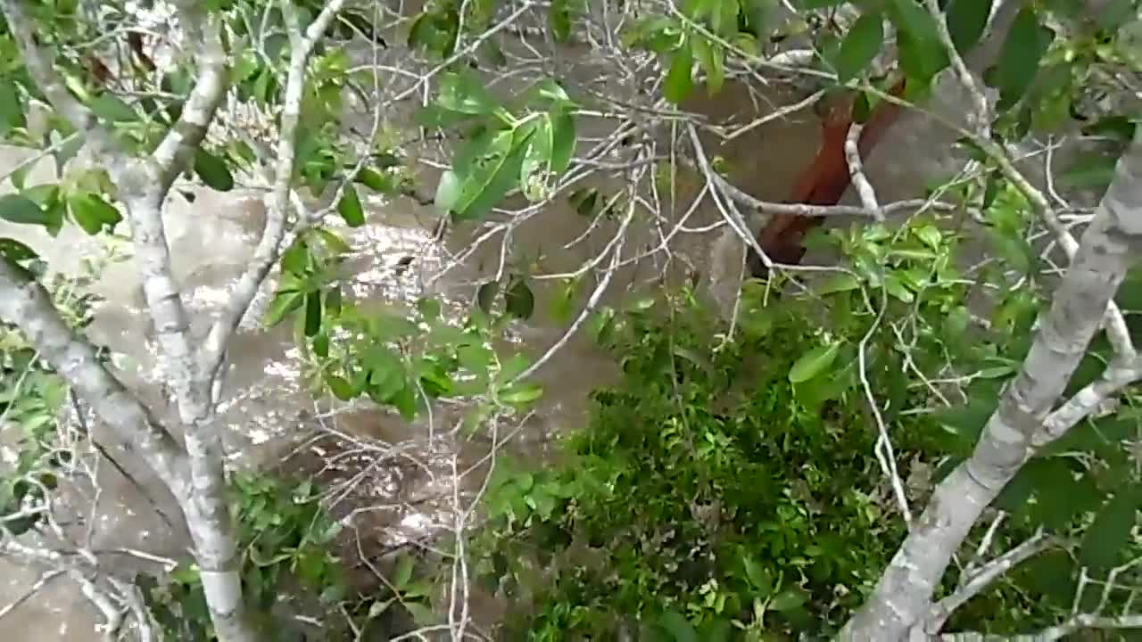 Tsunami in indonesia