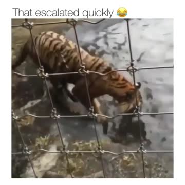 who is the boss of the bath?