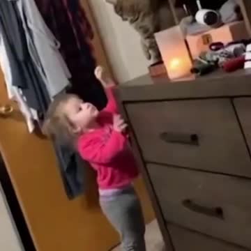 curious by nature... Best Funny Animals Video of 2022 🤣 Funniest Cats and Dogs #shorts #funny #cats