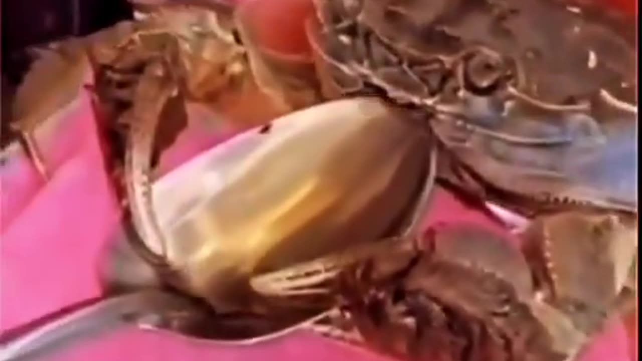 Properly Seasoning Crabs