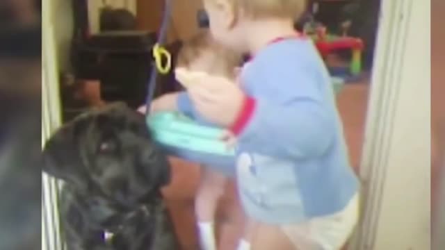 Dogs are the best friend of Babies 65