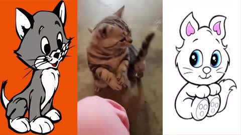 CUTE CATS 2021 (Gatos lindos)