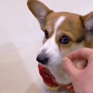 Nálad hol a határ? / Where's your limit?