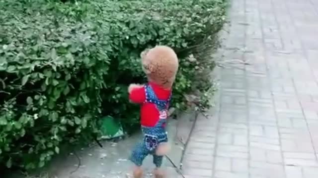 A well dressed puppy is playing with birds