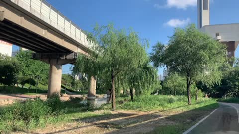 peaceful scenery along the river