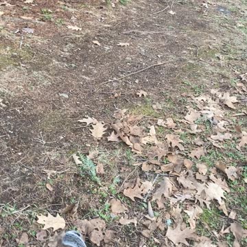 Saturday's Problem: She Thinks I Am Mommy