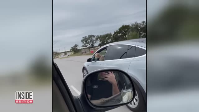 Dog Appears to Drive Tesla Alone on Highway