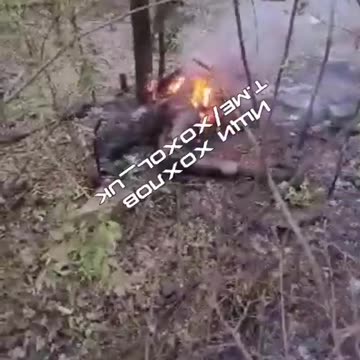 Ukraine war combat footage 10/13/24