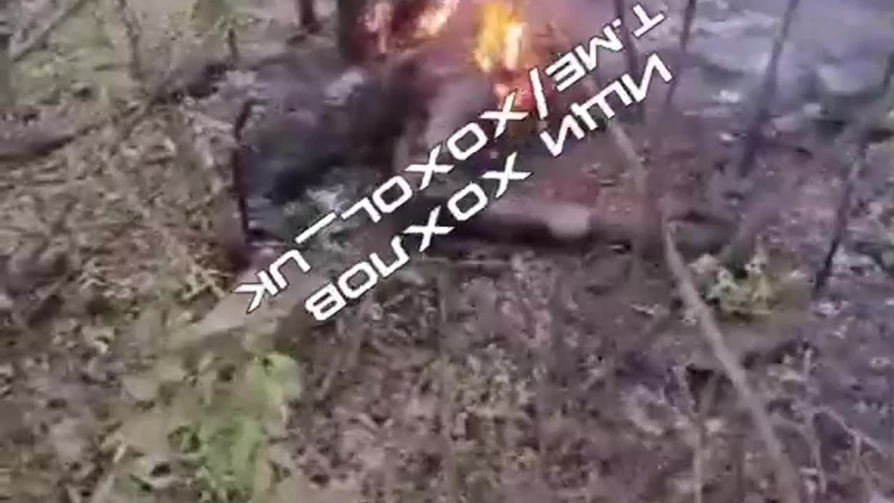 Ukraine war combat footage 10/13/24