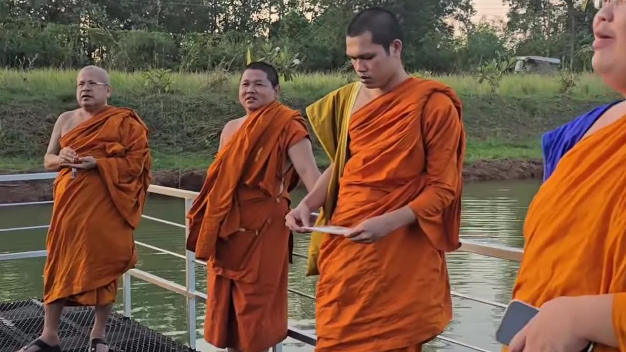 หลวงพ่อเจ้าคุณ,คณะสงฆ์และศิษย์ให้ทานอาหารปลา #พระราชวชิรภาวนาโกศล