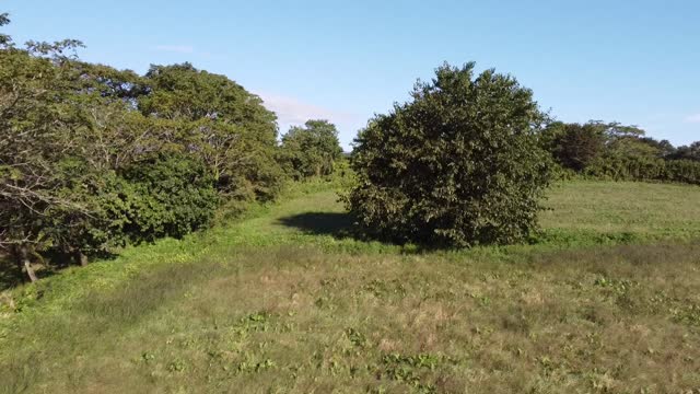 kerogarden