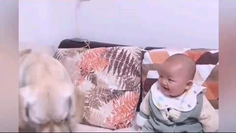 Dog and boy amazig funny