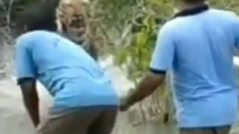 This is a beautiful and charming water-dwelling species