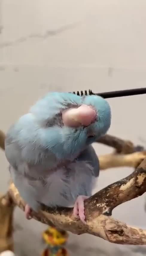 The little munchkin is so cute 🥰