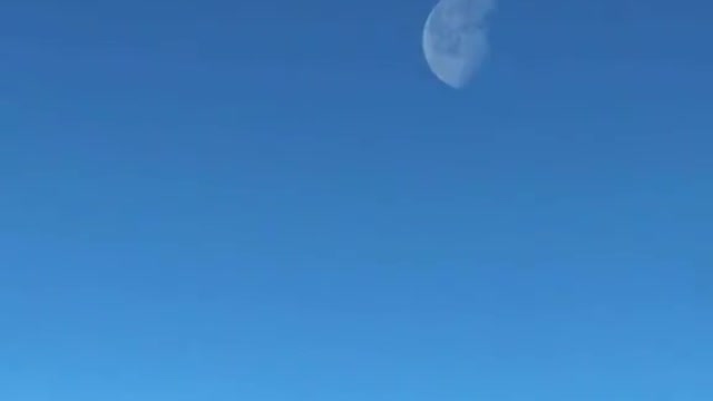 Trumos signs disclosure ( is this why )