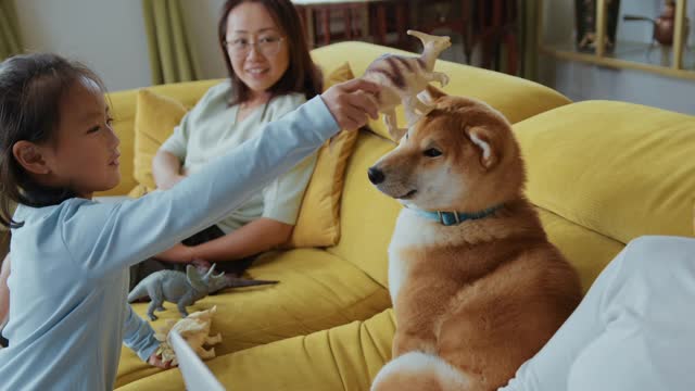 girl playing with hair pet dog