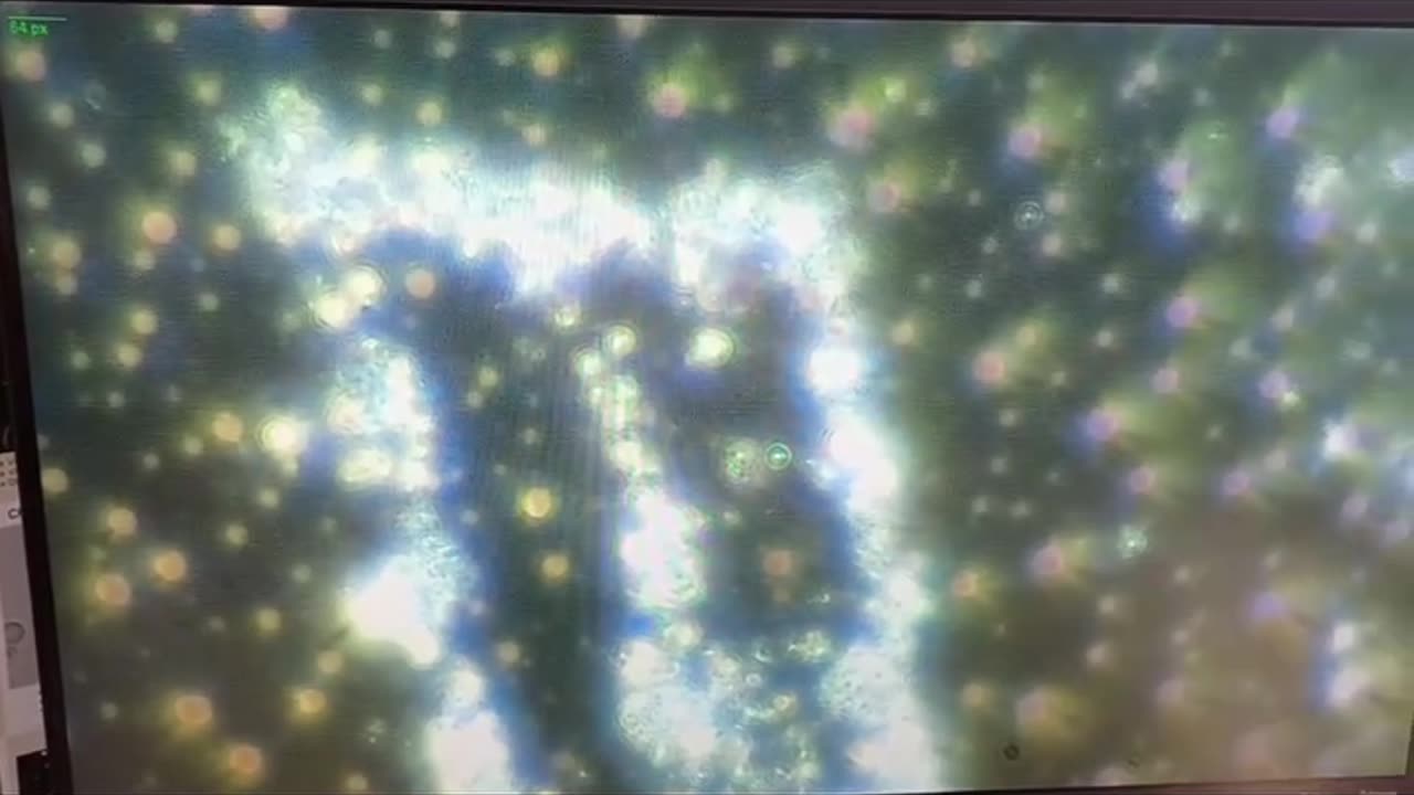 Pepsi Max Under a Microscope – Nanobots building Networks