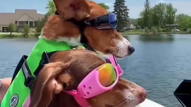 Remember summer to sea for a holiday with friends