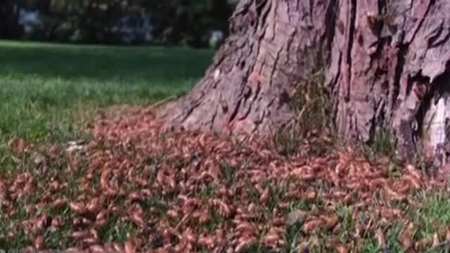20 Events That Show The Real Power of Nature