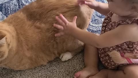 Baby Is Learning How to Pet Her Cat