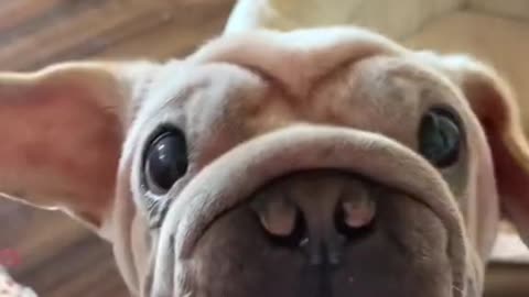 Why you have a so cute !!!