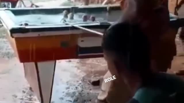 Jogador caro joga em qualquer lugar