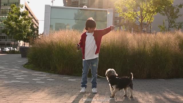 TRAIN YOUR PUPPY FOR DANCE AND LOVING CARE