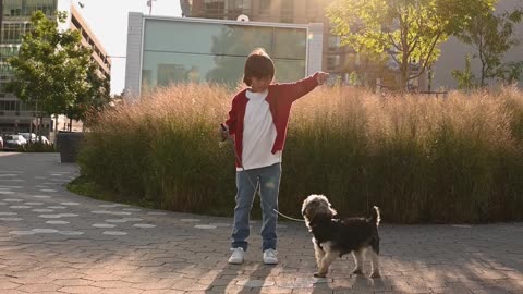 TRAIN YOUR PUPPY FOR DANCE AND LOVING CARE