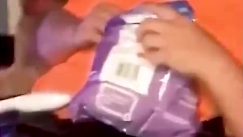 Dog Love's chips | Funny Dog | #short