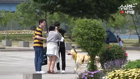 Hilarious Korean Prank: Laugh-Out-Loud Moments Guaranteed!