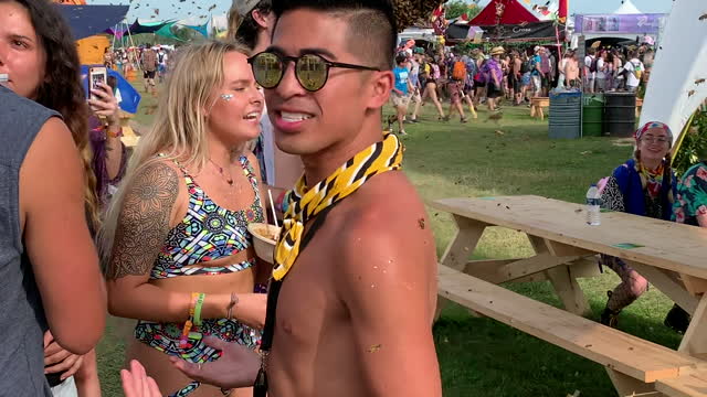 Bees Buzzing at Michigan Music Festival