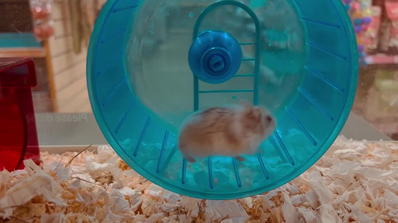 Let’s go for a spin!